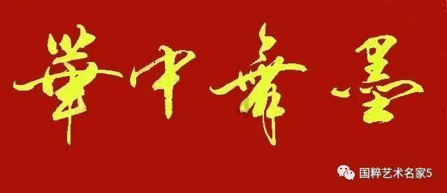 春雨直播app