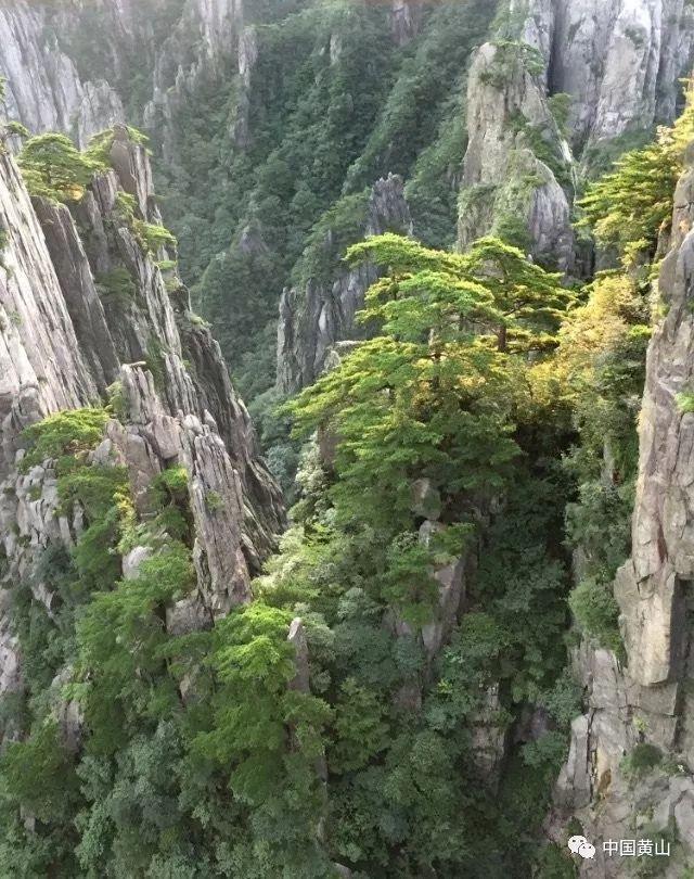 装甲坦克大战